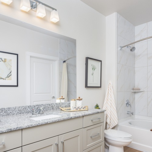 Bathroom with Designer Finishes